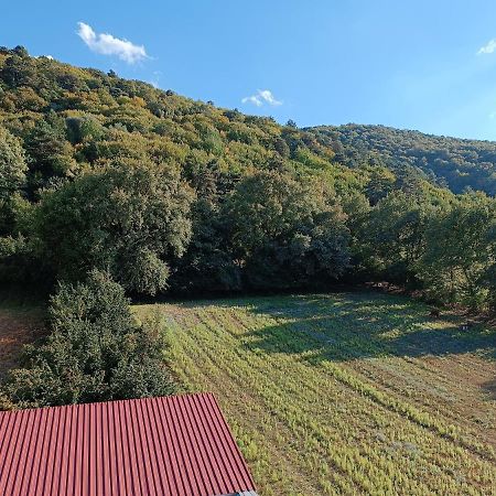 Mekan Ilica Apart Otel Karacasu  Exterior foto